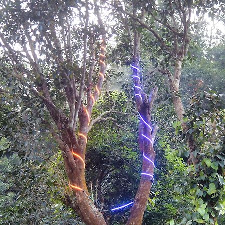 Willa Tree6 Wayanad Vythiri Zewnętrze zdjęcie