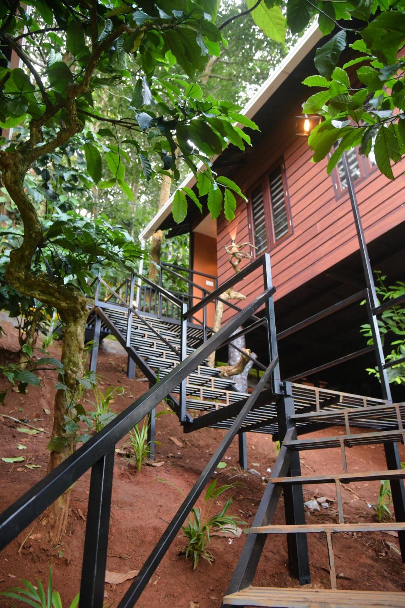 Willa Tree6 Wayanad Vythiri Zewnętrze zdjęcie